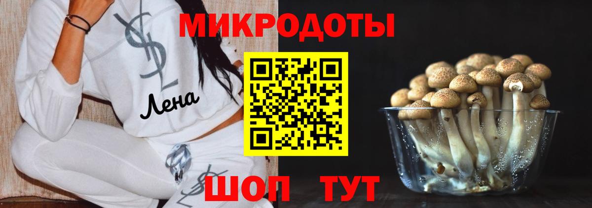 Псилоцибиновые грибы ЛСД  купить  цена  Галлюциногенные грибы прущие грибы  Шебекино  Вход с VPN 